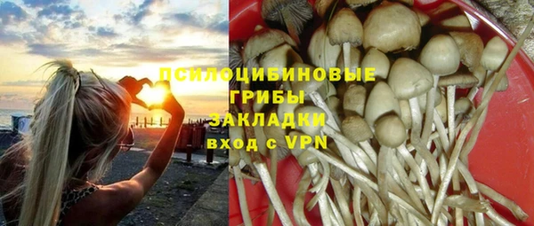 трава Армянск